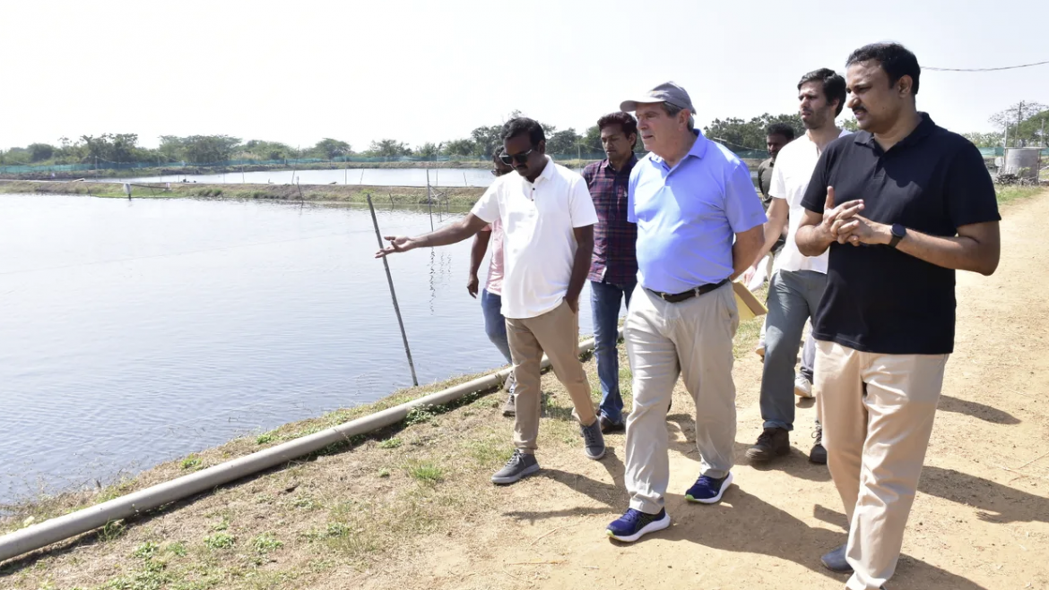 Por qué las acusaciones de abuso deberían provocar un replanteamiento del sector camaronero indio